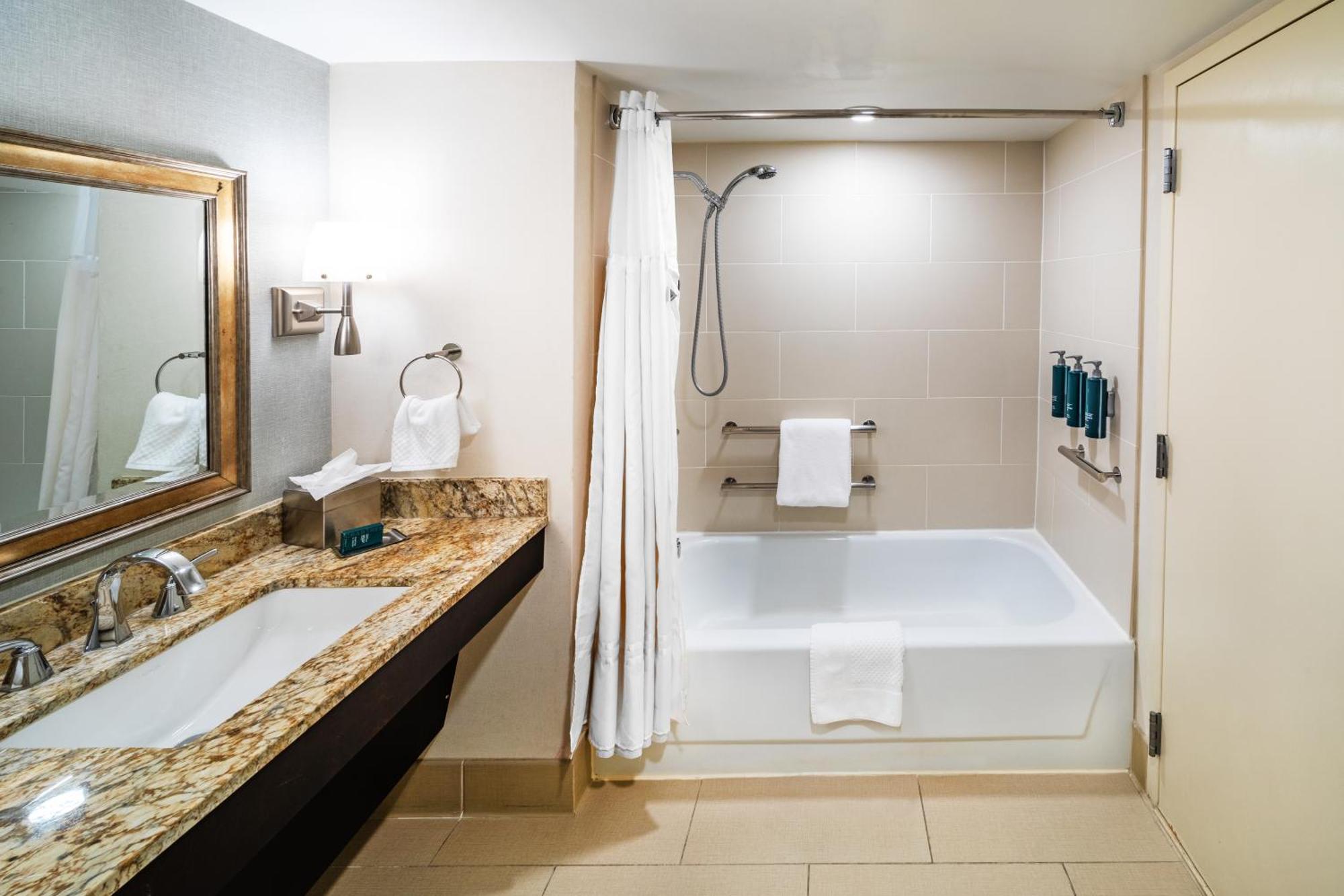 King Room Bath Tub Mobility Accessible